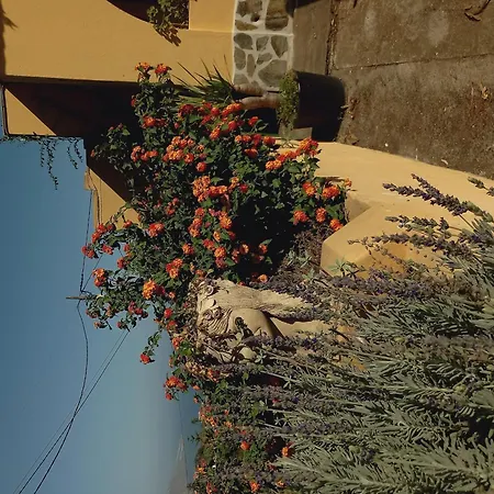 Apartment Casa Abora Puro Arte *